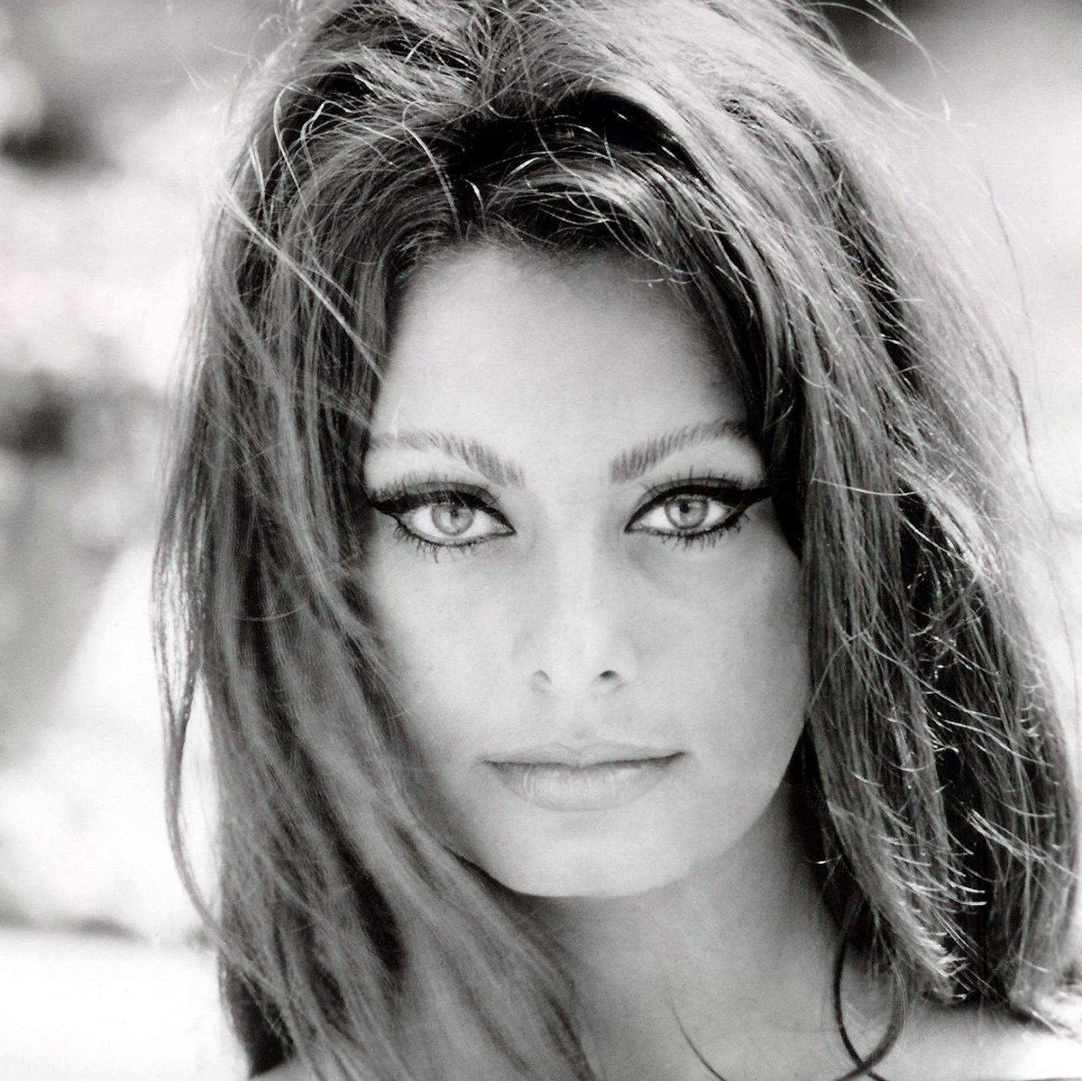 attrice-sophia-loren