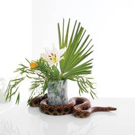 NOAH GUNDERSEN-cover