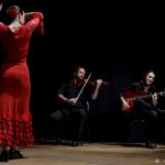 DSC_0253.MOV.00_01_59_18.Immagine009