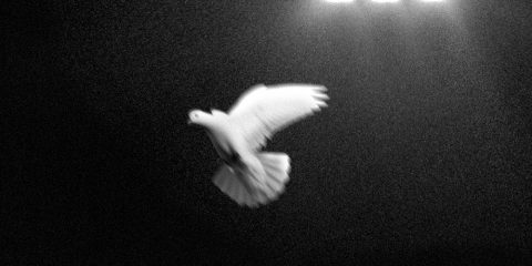 copertina disco_Le prigioni della mente