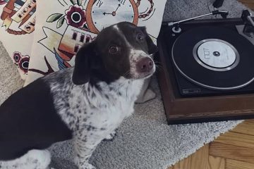 MA CHE TI PENSO A FARE Il nuovo singolo dei NOT