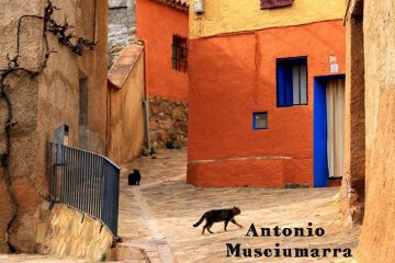 Antonio Musciumarra - Il ritorno