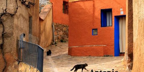 Antonio Musciumarra - Il ritorno