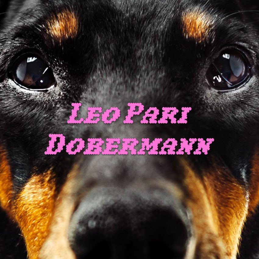 DOBERMANN - LEO PARI