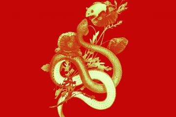 Clichè il nuovo singolo di Marco Gallorini