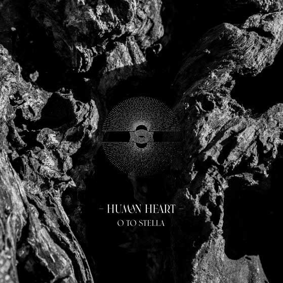 Human-Heart-Spotify-559x559