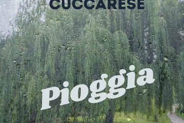 Pioggia-Domenico-Cuccarese