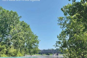 cover_ifiumidilombardia_square