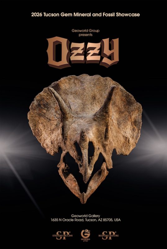 Poster_Triceratops_Skull_Ozzy