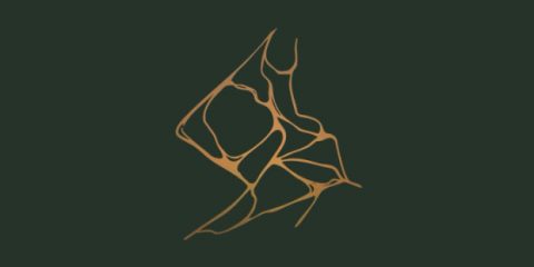 Laid-nuovo-singolo-Dove-cade-il-giorno