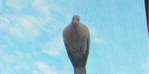 image.jpeg