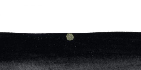 7.-Copertina-Album.jpg