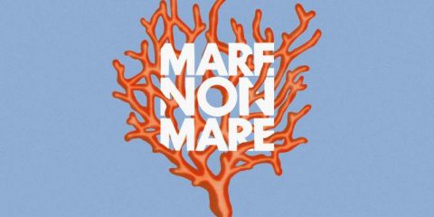 MDE-COVER.jpg