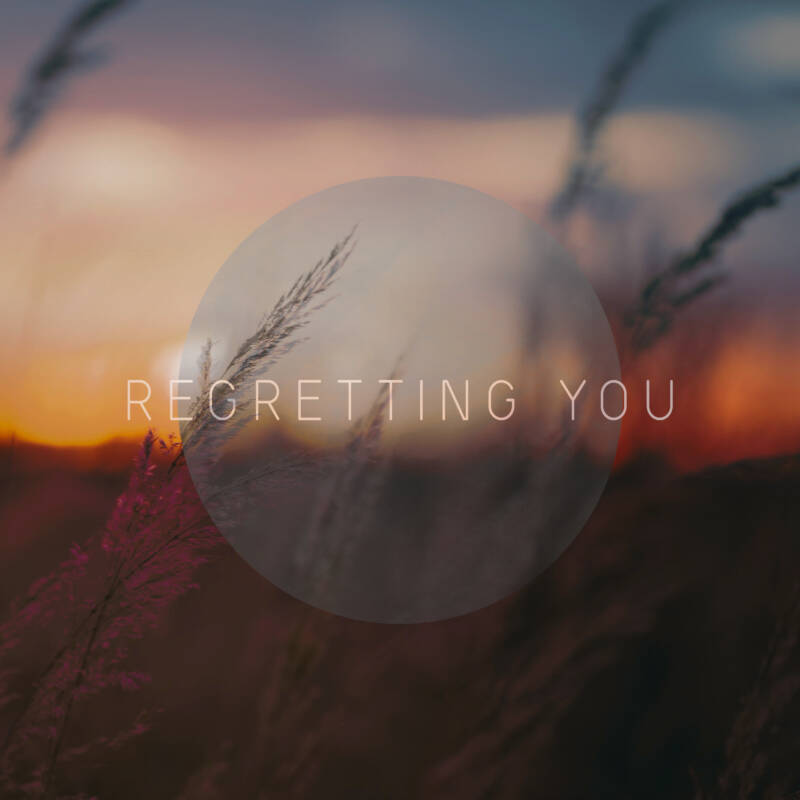 Regretting You Giambattista Fedrici